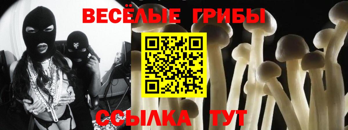 Артём  сколько стоит  Вход с VPN  Галлюциногенные грибы прущие грибы 